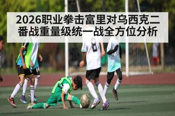 2026职业拳击富里对乌西克二番战重量级统一战全方位分析